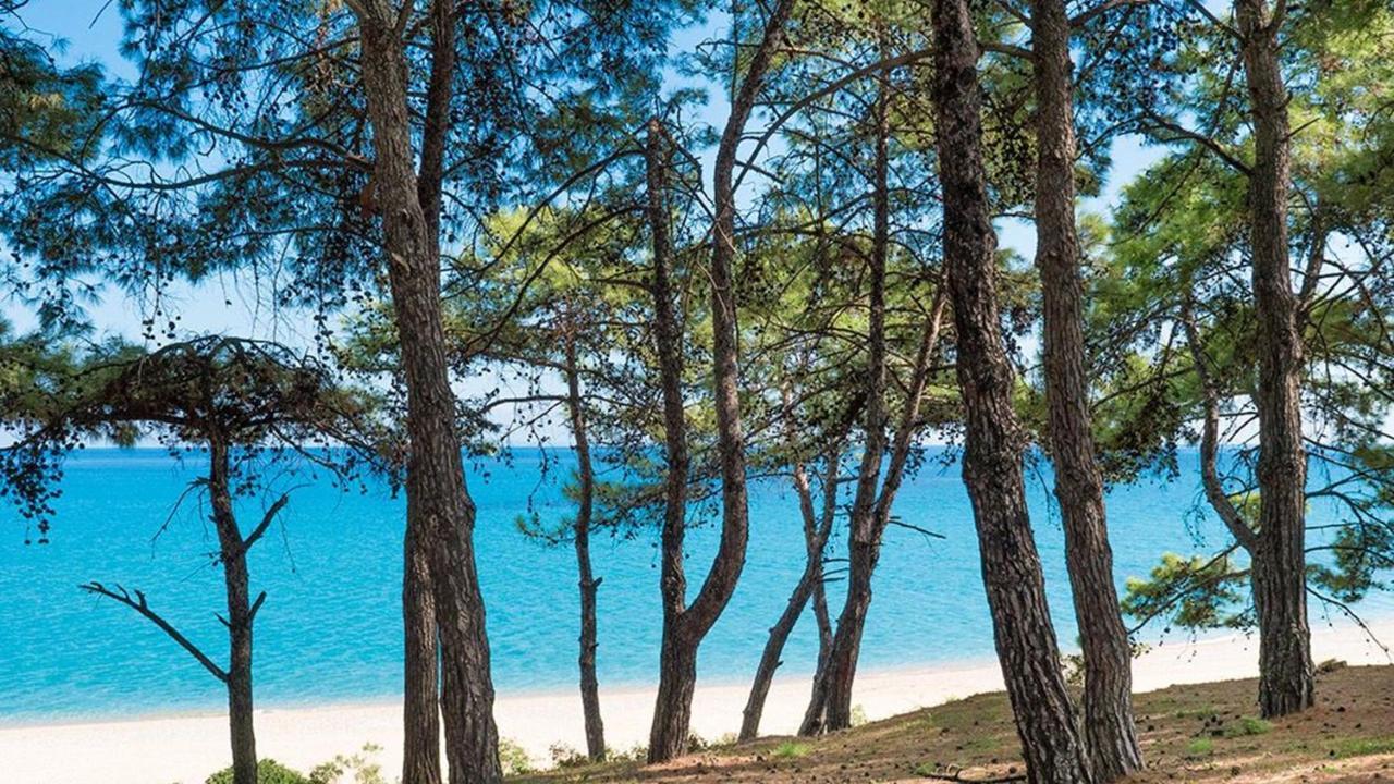Blue Jasmine Hotel Skala  Exteriör bild